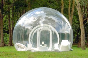 Live in a Bubble