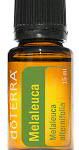 Melaleuca-teatreeoil.jpg