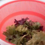 Daily Salad Mixed Lettuce