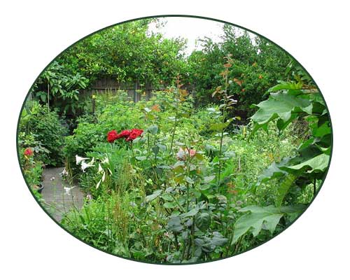 Melbourne Food Forest - Spring