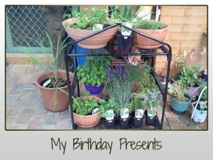 Birthday Herb Garden