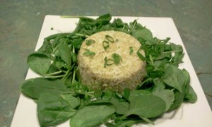 Quinoa, Basmati Rice, Baby Spinach Leaves, Rocket, Spring Onion