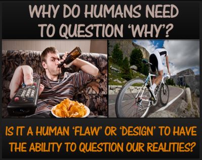 Why do humans need to question the ‘why’?