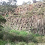 Organ Pipes National Park