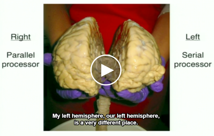 Right hemisphere - Left hemisphere