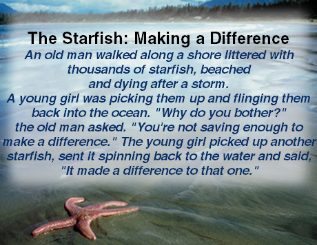 Starfish11