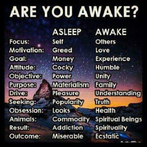 Are you awake