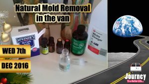 natural-mold-removal-van