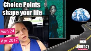 Choice points shape life