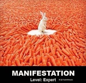 Master manifsetation rabbit carrots