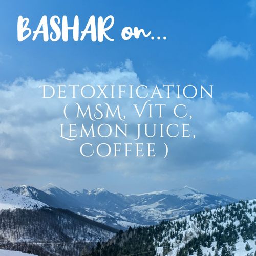 Bashar Detox