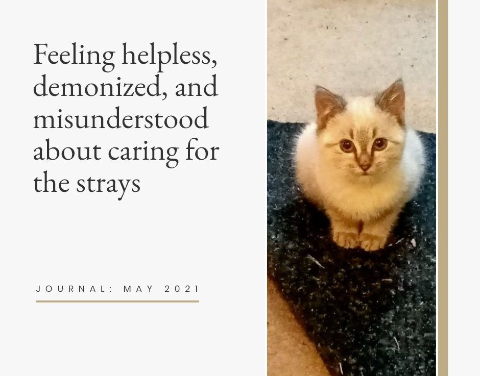 Feelinghelpless Strays