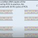 PCR-Test Videos & Links
