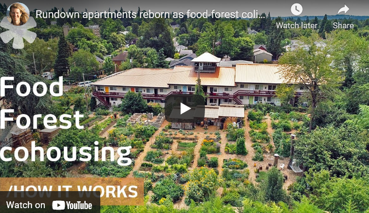 Rundown apartments reborn as food-forest
