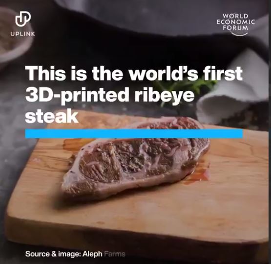 wef-3dprinted-steak