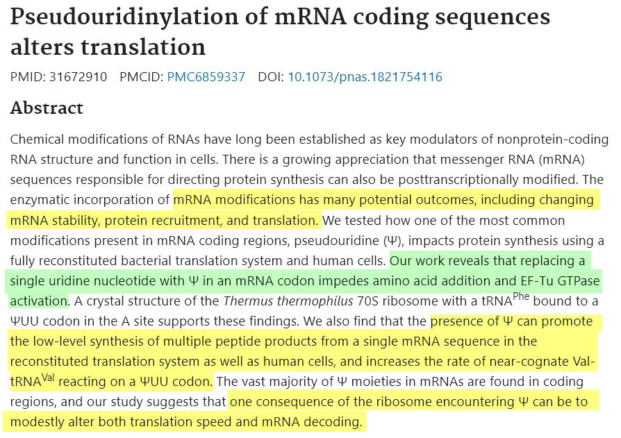 Pseudouridinylation of mRNA coding sequences alters translation
