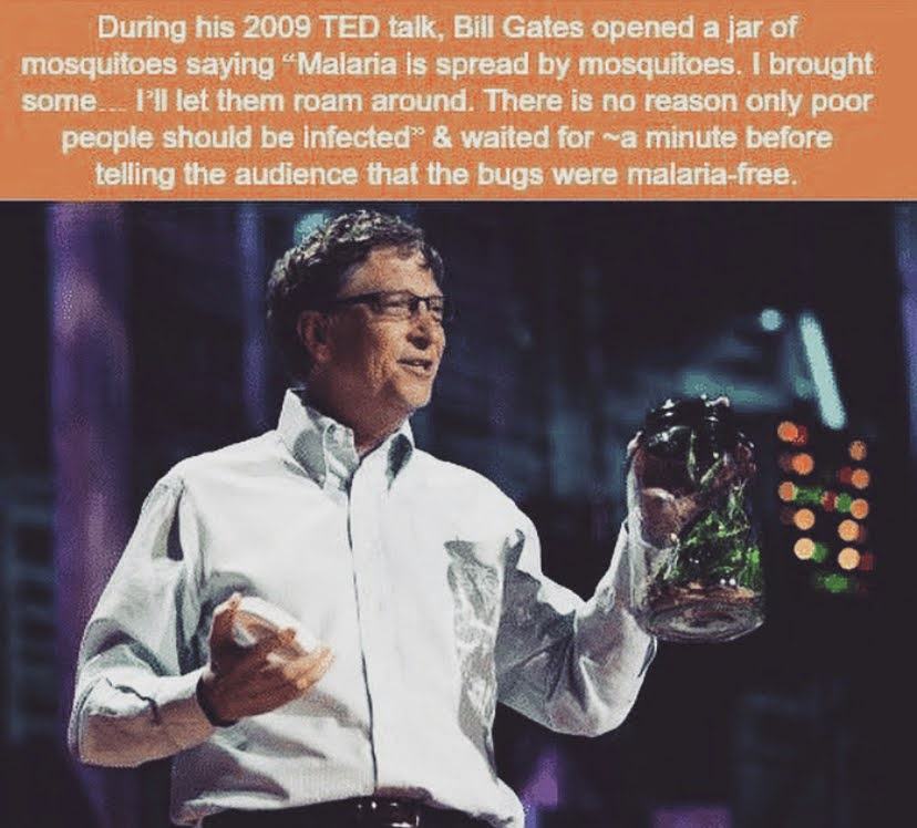 mosquitoes-gates-2009tedtalk