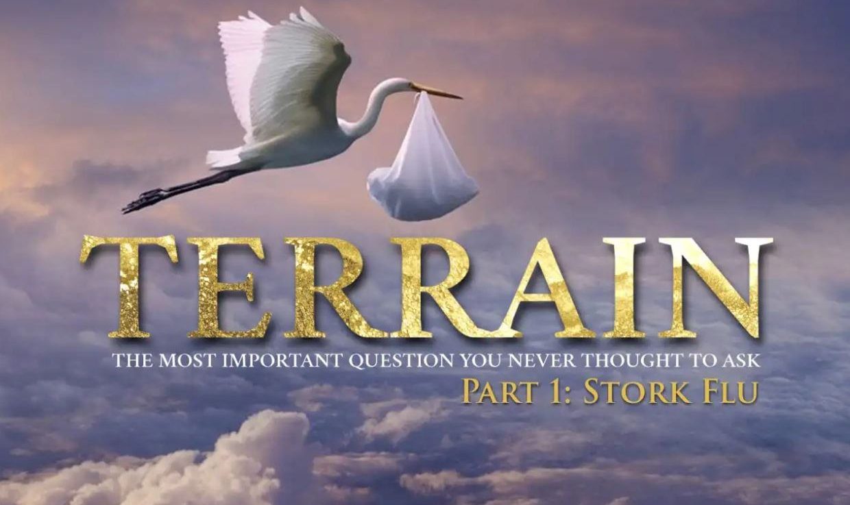 Terrain-TheFilm