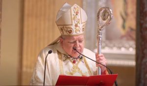 Cardinal Raymond Burke