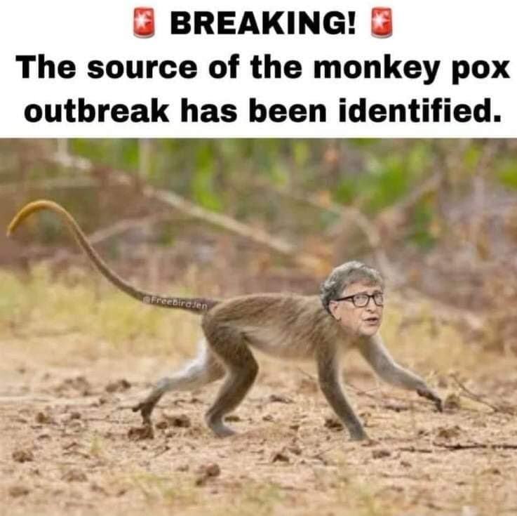 monkeypox-gates