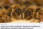 beekeeper-honey-bees-abc