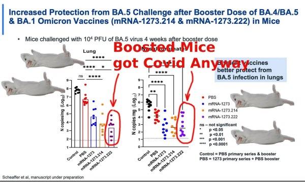 New Boosters approved that were tested only on Mice (What happened to them?)