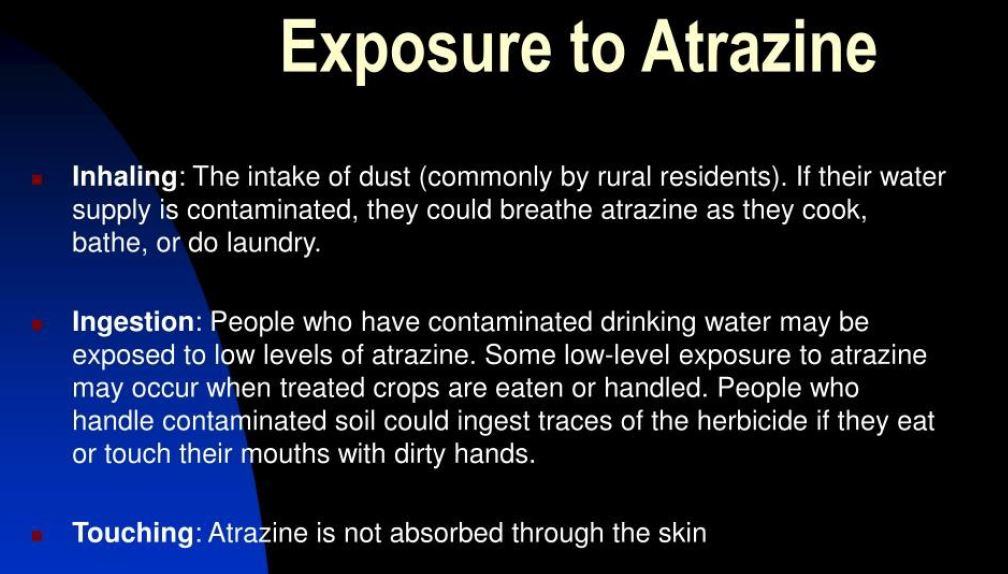 atrazine-exposure