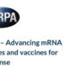 [DARPA] paid [Moderna] & [Pfizer] for mRNA research and development in 2013