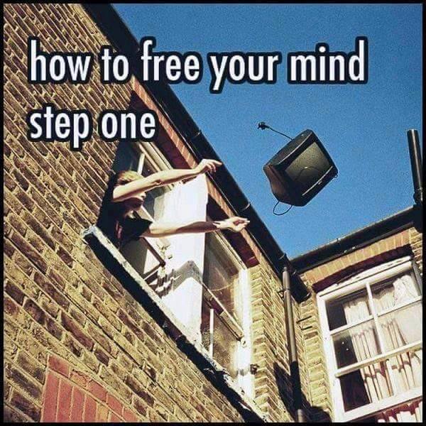 media-free-your-mind