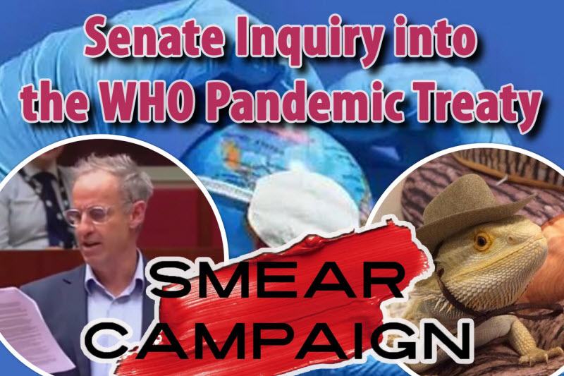 WHO-Pandemic-Treaty-Senator-Mckim