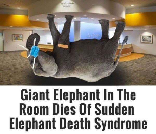 sudden-elephant-death-syndrome