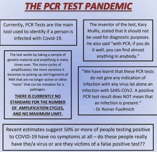 pcr-pandemic