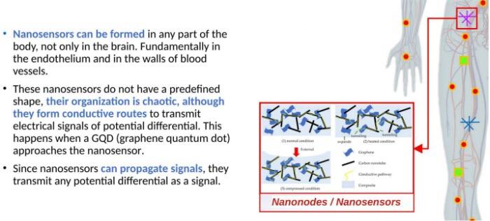 12_nanonetwork-nanosensors