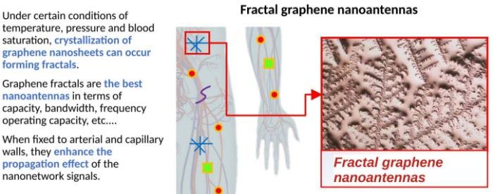 16_nano_network-fractal-graphene-nanoantennas