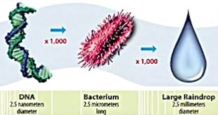 DNA2nm-vs-Bacteria-vs-Raindrop