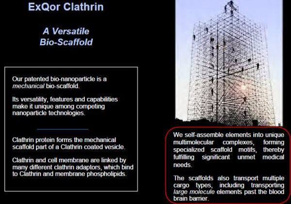 ExQor-Clathrin-self-assembling-bio-scaffold