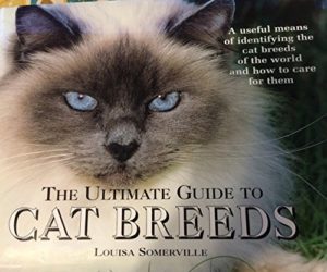 The Ultimate Guide to Cat Breeds by Louisa Somerville (Hardcover Coffee-Table book)